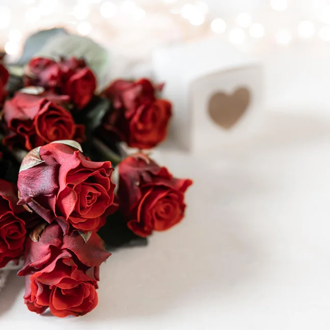 Calendari i Tradicions (Nadal, Sant Jordi, Tots Sants)